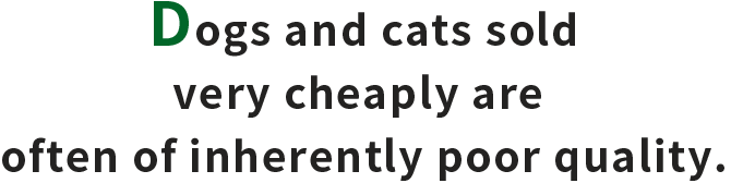 Dogs and cats sold very cheaply are often of inherently poor quality.