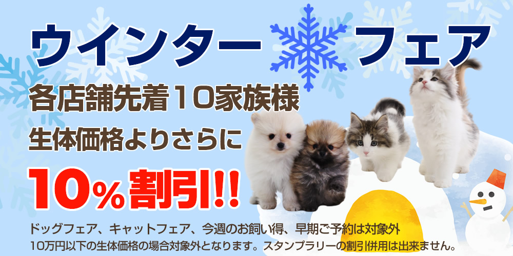 ウインターフェア