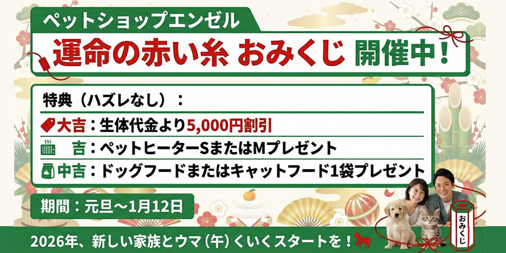 運命の赤い糸おみくじ開催中！