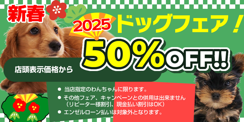 ドッグフェア50%OFF